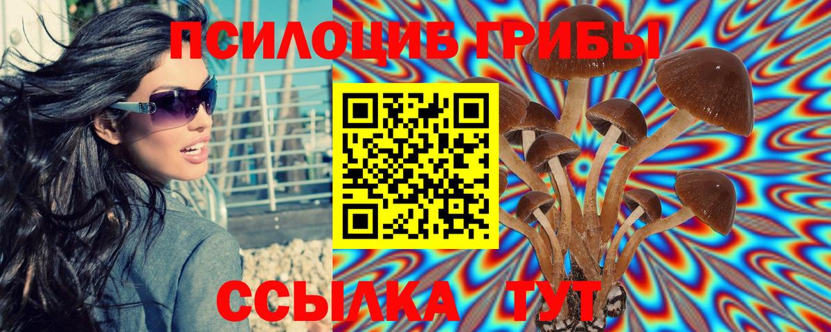 Воркута  Псилоцибиновые грибы Cubensis  Вход с VPN 